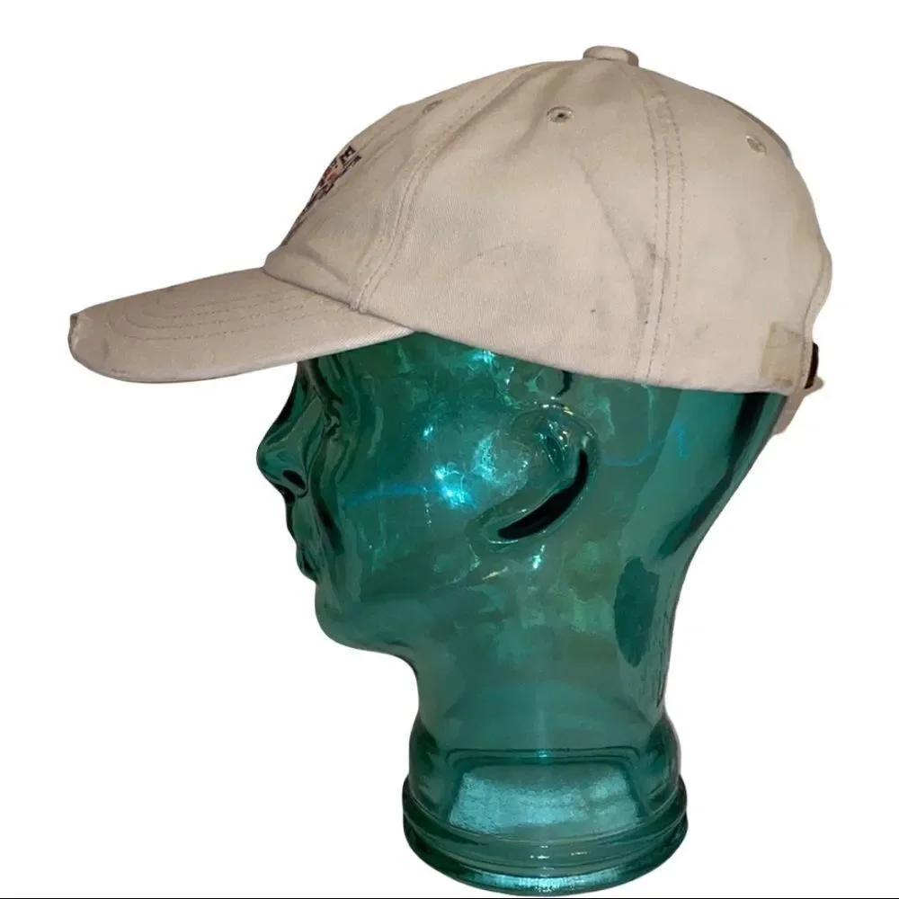 American Eagle Outfitters Distressed Baseball Cap